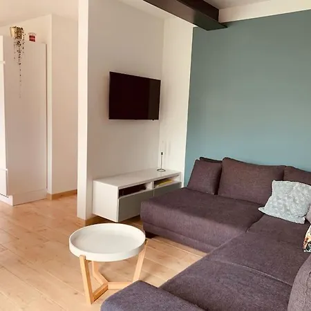 Maison En Plein Centre Avec Terrasse Et Jardin